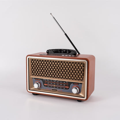 Simple And Multifunctional Home Fashion Radio